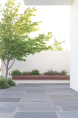 Modern outdoor space featuring greenery and minimalist design in bright daylight