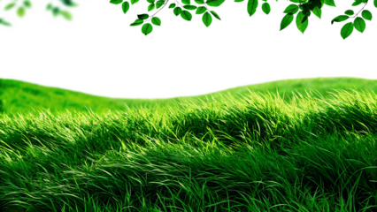 Lush Green Grass Landscape – Isolated on White Background as Transparent. PNG. AI GENERAT