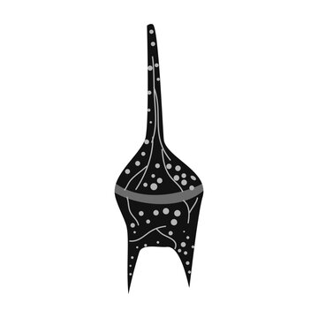 Ceratium Dinoflagellates Flat Illustration