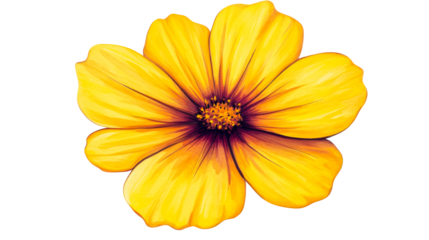 Vibrant yellow flower with dark center, petal detail, blossom, cut out transparent