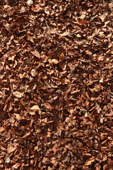 Brown Leaves Forest Floor Ground Dirt Texture Background