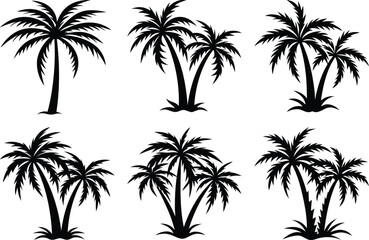 plam tree silhouette on white background