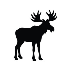 Fototapeta premium A black moose silhouette vector illustration depicts a wild mammal with antlers isolated on white.