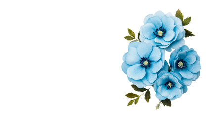 Blue anemone flowers bouquet arrangement, cut out transparent