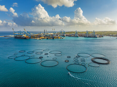 Tuna farm and Freeport in Birzebbuga city, Malta