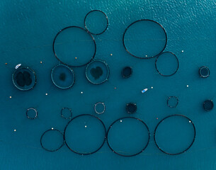 Tuna rungs in Mediterranean sea. Tuna fish farm, drone top view 
