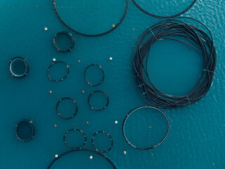 Drone aerial top view of tuna fish farm, rings. Blue Mediterranean sea