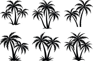 plam tree silhouette on white background