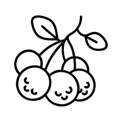 chokeberry fruit vector icon, simple black outline line icon of chokeberry fruit, fruit vector line art icon