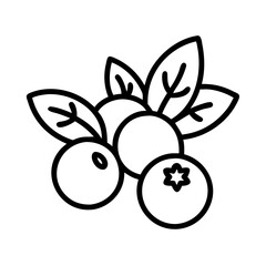 bilberry vector icon, simple black outline line icon of bilberry, fruit vector line art icon