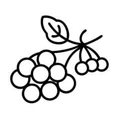 mountain ash berries vector icon, simple black outline line icon of mountain ash berries, fruit vector line art icon