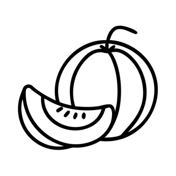 recommend clip art: honeydew melon vector icon, simple black outline line icon of honeydew melon, fruit vector line art icon