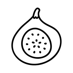 fig fruit vector icon, simple black outline line icon of fig fruit, fruit vector line art icon