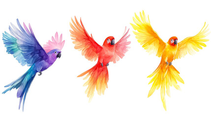 Fototapeta premium Watercolor parrots flying with open wings, colorful birds, cut out transparent