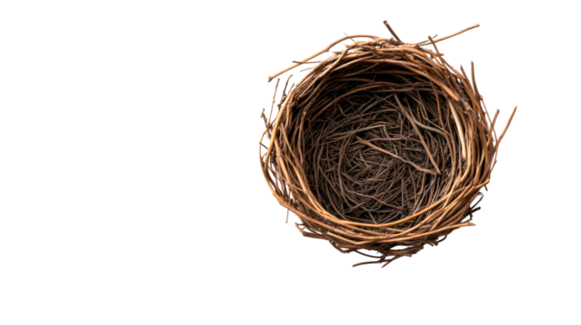 Empty birds nest from branches, brown intertwined twigs, cut out transparent
