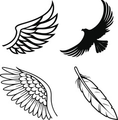 Obraz premium set of wings