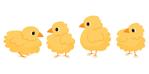 Set of cute chickens with hand drawn textures. Vector illustration isolated on white background. For children's and Easter decor. Newborn little cute chick.