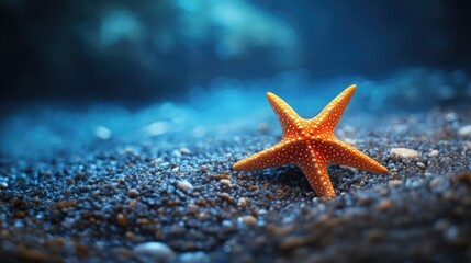 Orange Starfish Resting on Ocean Floor with Blue Water Backdrop