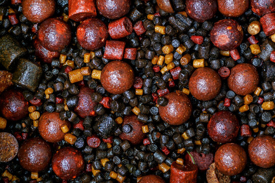 Carpfishing session at the Lake.Background of boilies and trout pellets, fishing baits for carp.Round boilies used as bait for carp fishing. Bait for fishing in the form of balls