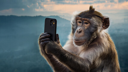 Monkey Using Smartphone in a Nature Setting Image