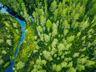 Aerial view of blue river water through green pine forest in National Park of Finland