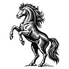 Black stallion vector illustration depicts a wild horse running, its mane flowing in a powerful gallop