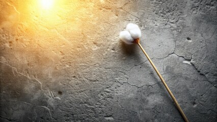 Monochrome Cotton Swab, Minimalist Urban Still Life, Black and White Photography, Fresh Splash Effect