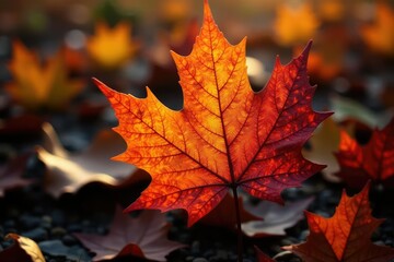A late-season autumn leaf pattern showing decaying detail , leaf, autumn