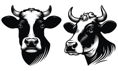 vector illustration of a cow