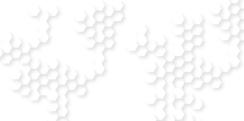Background with hexagons . Abstract background with lines . white texture background . hexagon abstract background. Surface polygon pattern with glowing hexagon paper texture and futuristic business.