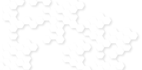 Background with hexagons . Abstract background with lines . white texture background . hexagon abstract background. Surface polygon pattern with glowing hexagon paper texture and futuristic business