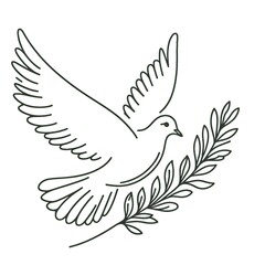 Obraz premium Dove with Olive Branch in flight on white background 