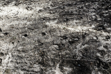 Obraz premium Dry cracked earth, parched land, Earth dirt texture background, arid soil, Dry cracked earth texture, cracked earth, Dry mud, broken texture, desert, global warming, climate change concept.