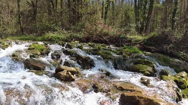 Pure water flowing down a rocky stream in a lush forest