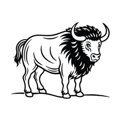 vector illustration of a bull