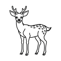 deer vector illustration