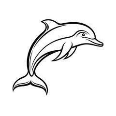dolphin vector illustration