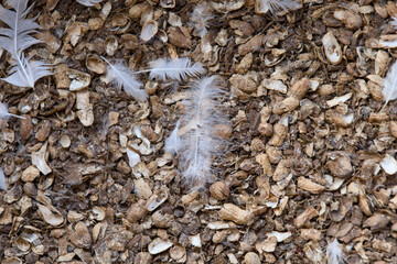 Textured ground with feathers and natural materials