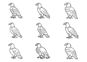 Eagle line art vector illustration bundle design
