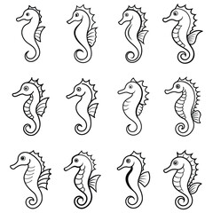 set of seahorse line art vector illustration design