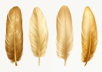gold blue green blue purple feather