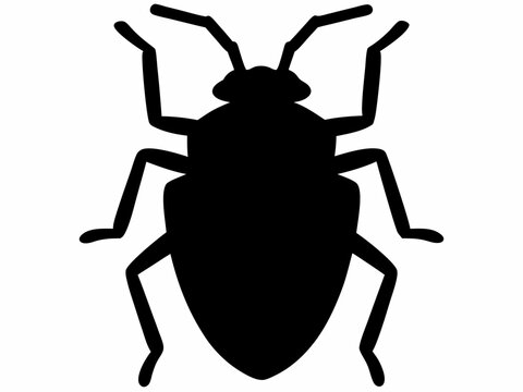 recommend clip art: Stink Bug Clipart, Stink Bug Shadow, Garden Pest Silhouette