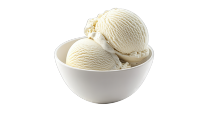 a simple elegant bowl containing two scoops of creamy vanilla ic