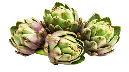 Obraz premium Green and Purple Artichokes Close Up, Cut Out Transparent