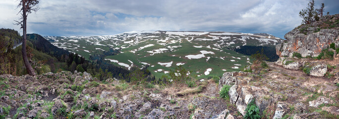 Forest on the mountain slopes of the Lago Naki plateau, Krasnodar Krai, Republic of Adygea.