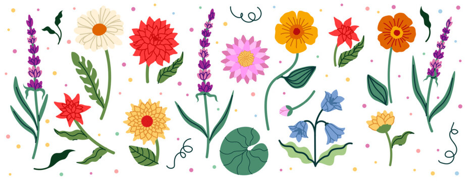 Flowers set. Chrysanthemum, lavender and lotus. Chamomile and aster. Spring summer bight colorful botanical elements. Elegant creative flora, vector cartoon flat isolated blossom illustration set