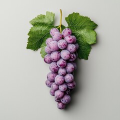 Fototapeta premium Purple and Pink Grapes with Green Leaves on Gray Background