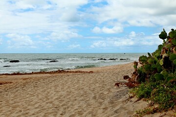 Tropical beach in open wde space, calm sea waters, small  waves and reef rocks. Empty snead and some green vegetaion on the shore. Coqueiros beach, close \Joao Pessoa, city, Brazilian northeast.