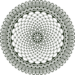 Beautiful flower art and mandala vector design