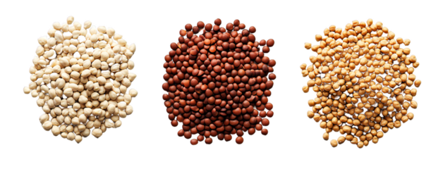 Three piles of assorted dried legumes, isolated on transparent background